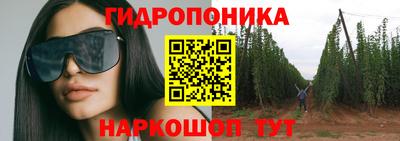 ГАЛЛЮЦИНОГЕННЫЕ ГРИБЫ Новодвинск