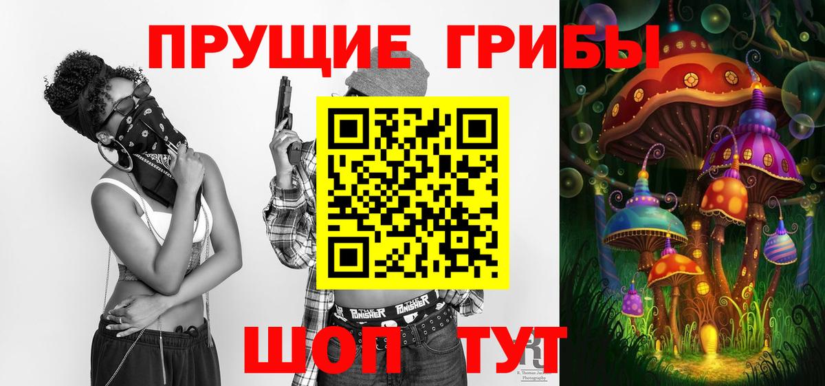 Галлюциногенные грибы MAGIC MUSHROOMS  Вход с VPN  Волгоград 